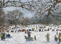Sledding in Central Park
