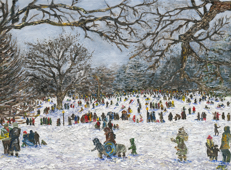 Sledding in Central Park