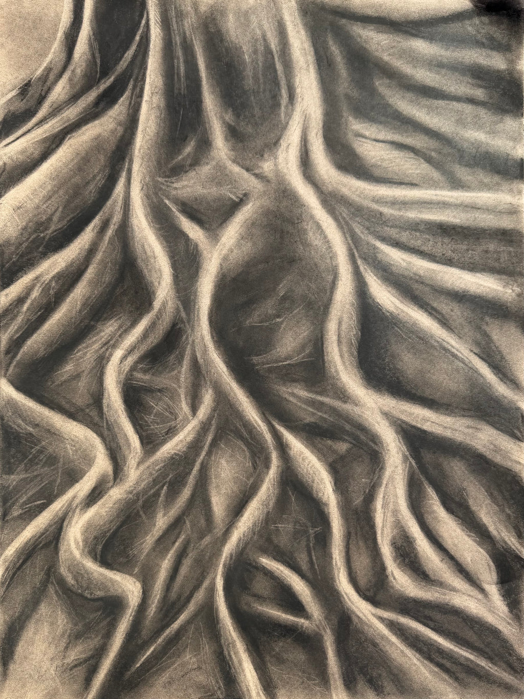 Roots