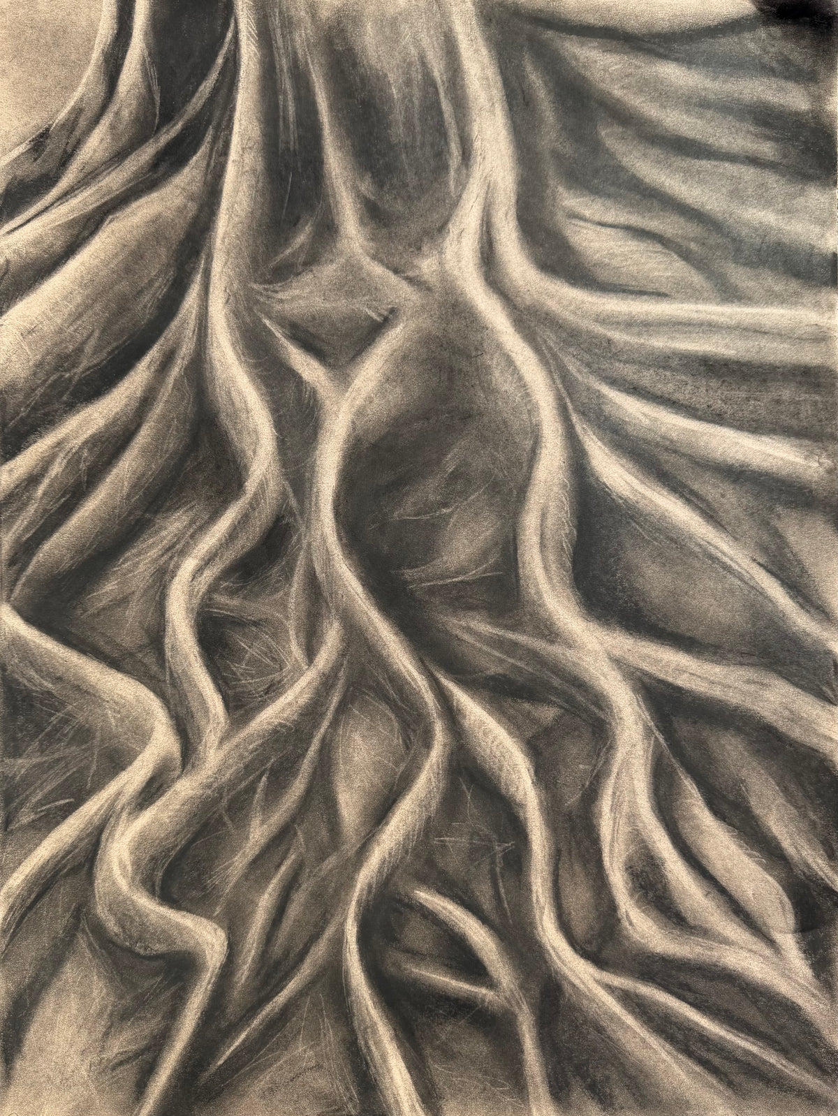 Roots