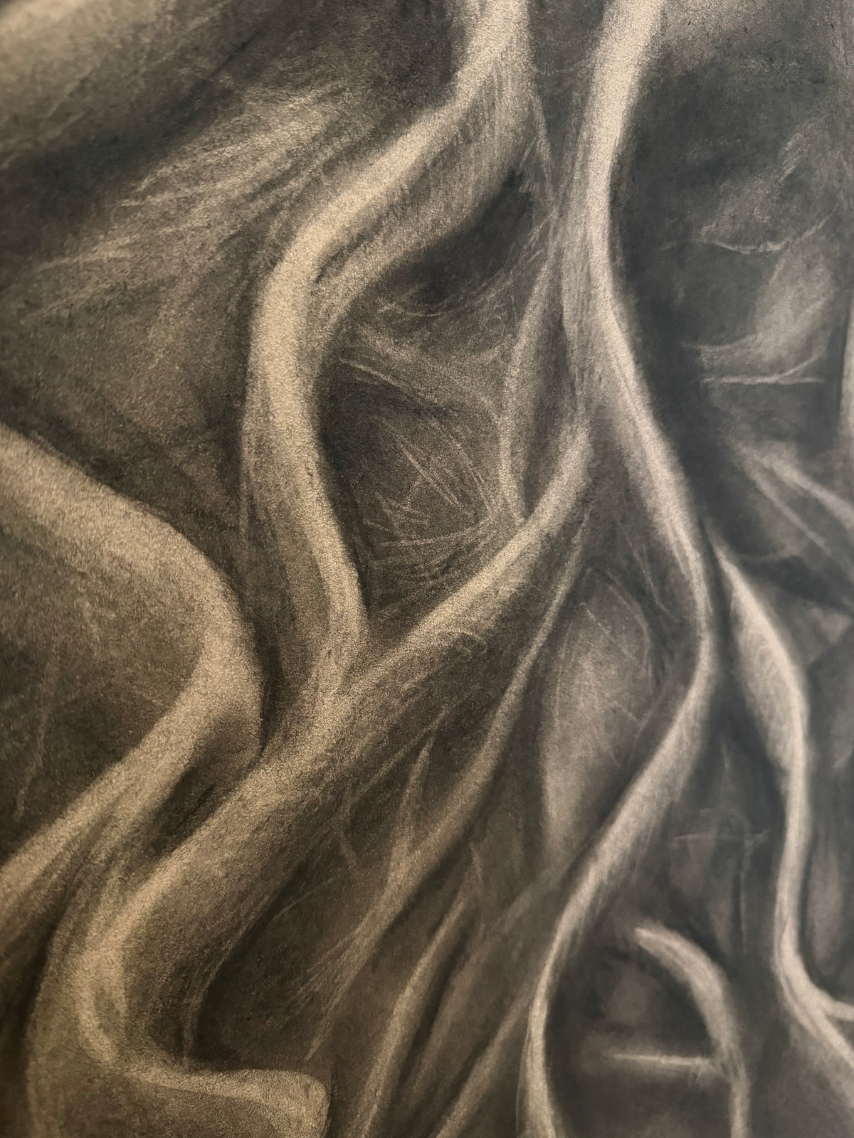 Roots