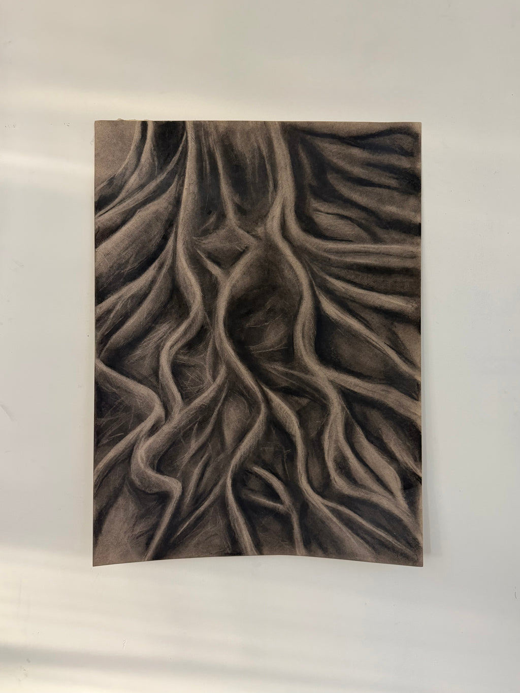 Roots