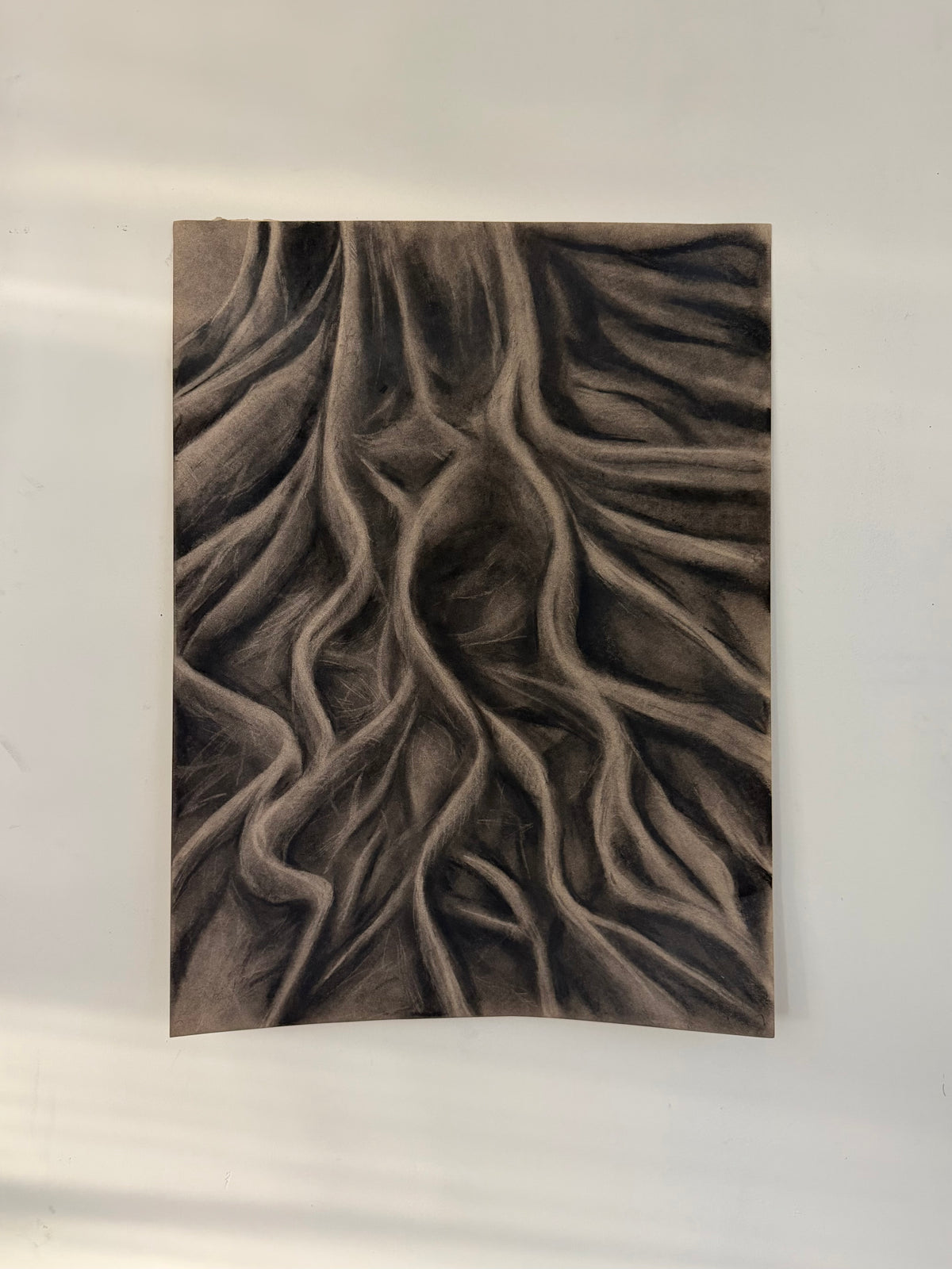 Roots