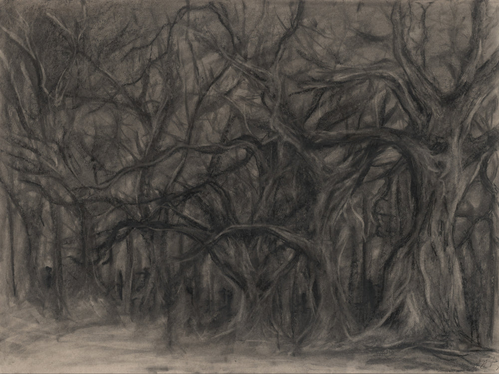 Don't Run, charcoal drawing