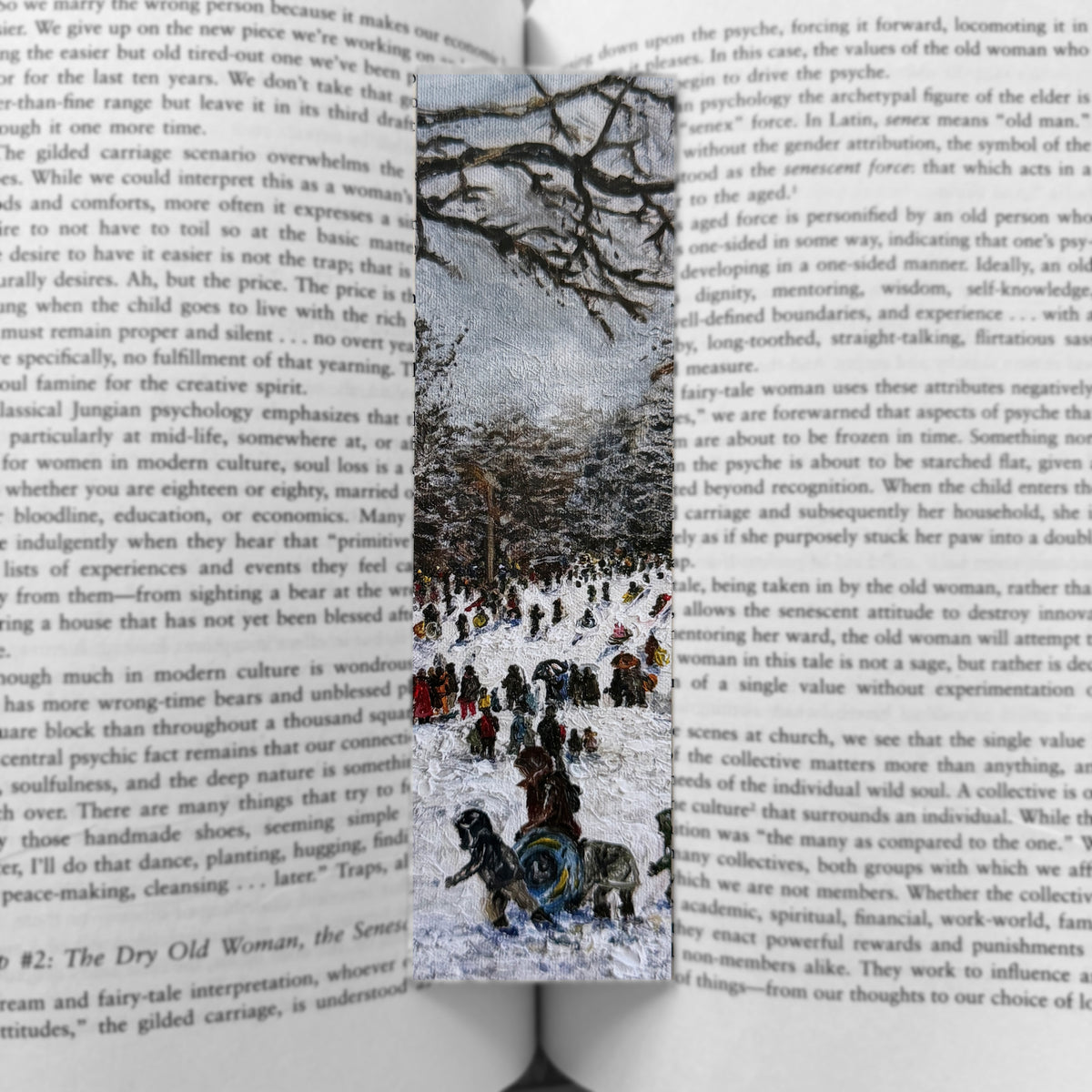 Bookmark - Sledding in Central Park