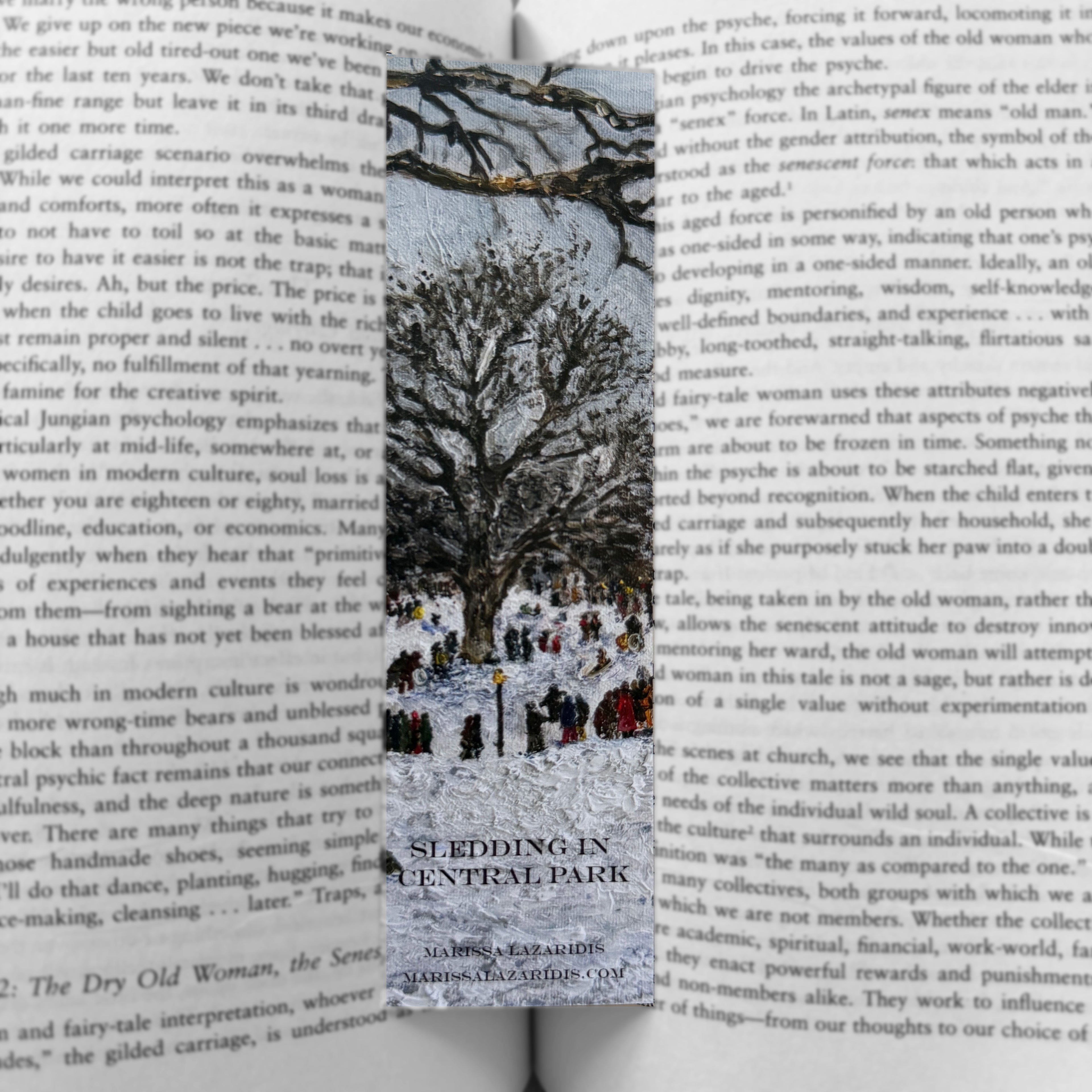 Bookmark - Sledding in Central Park